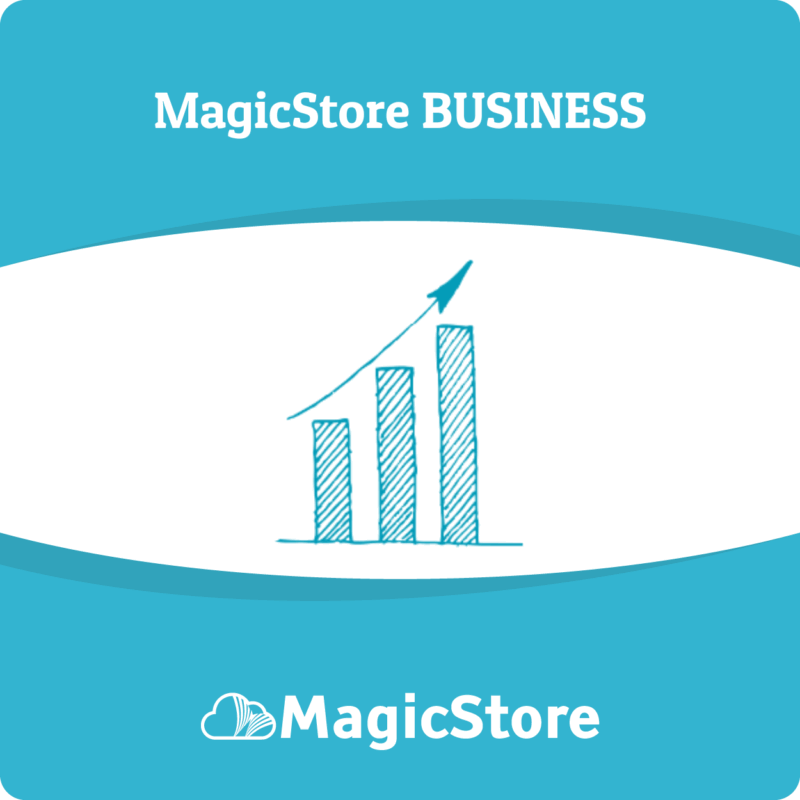 Licenza MagicStore Business